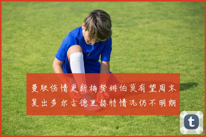 曼联伤情更新梅努姆伯莫有望周末复出多尔古德里赫特情况仍不明朗