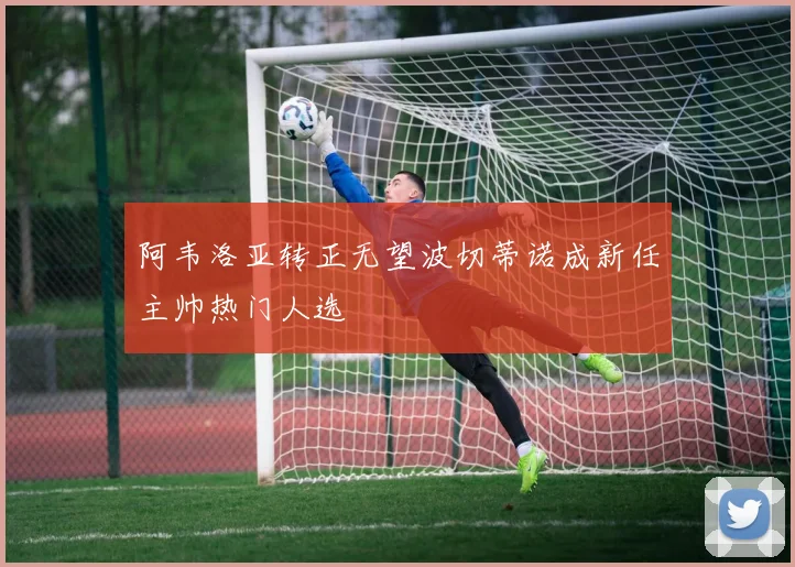 阿韦洛亚转正无望波切蒂诺成新任主帅热门人选