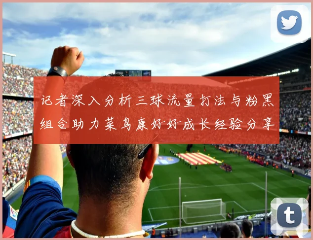 记者深入分析三球流量打法与粉黑组合助力菜鸟康好好成长经验分享